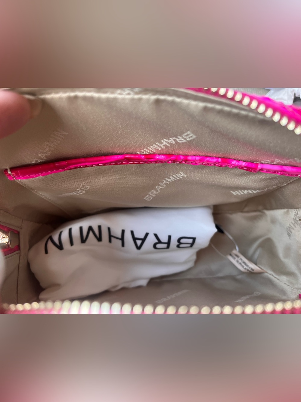 NWT BRAHMIN TORI in AFFECTION MELBOURNE OMBRE - Picture 11 of 17